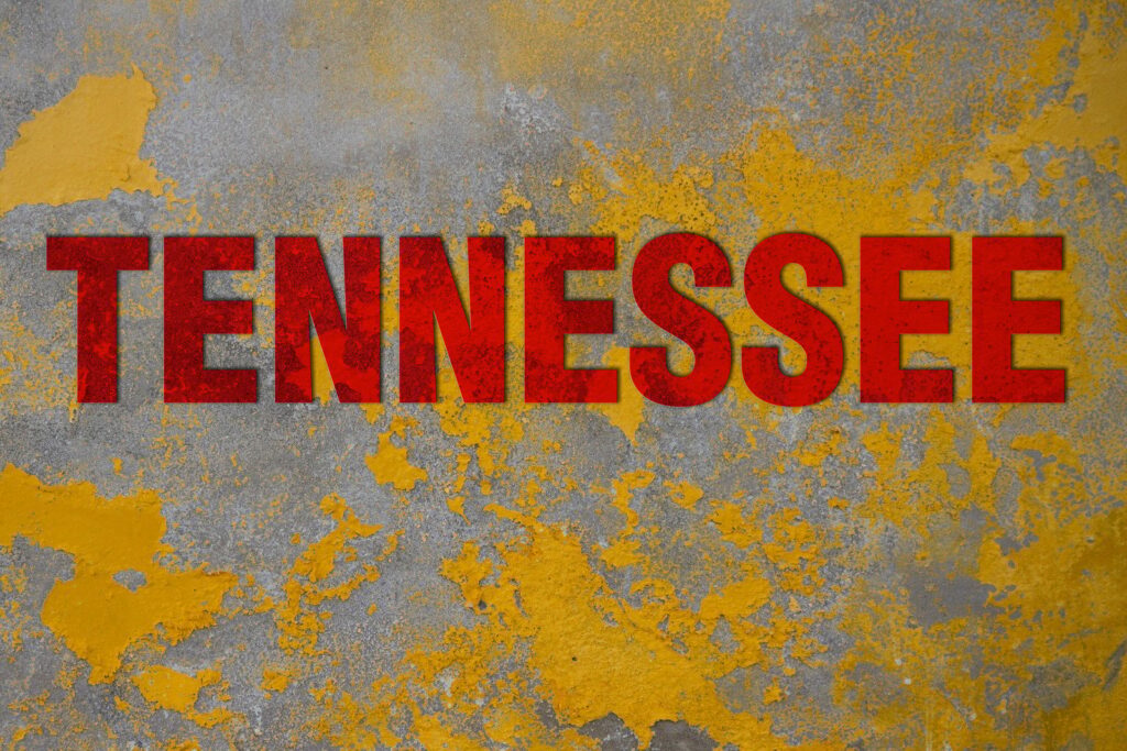 Tennessee state representation